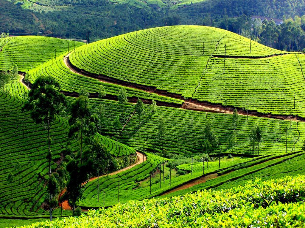 Mangalappillil Homestay Munnar Exterior photo